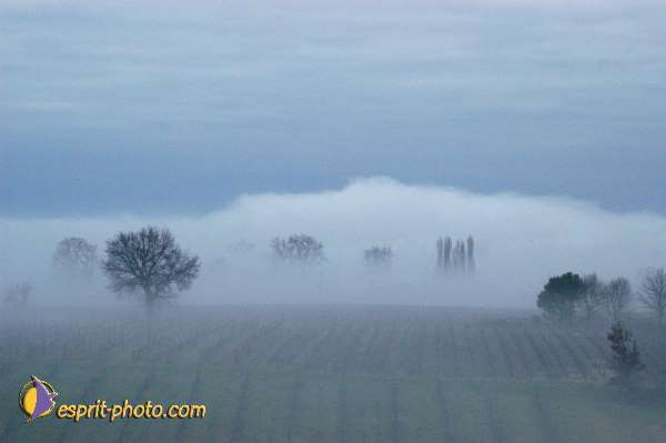 Nom de l'image : EG-300-1452-01 — Description :