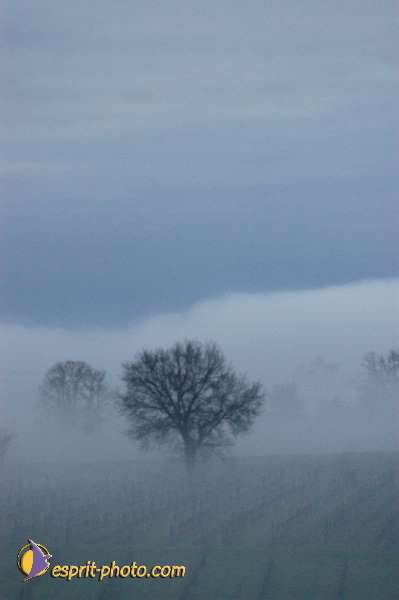 Nom de l'image : EG-300-1455-01 — Description :