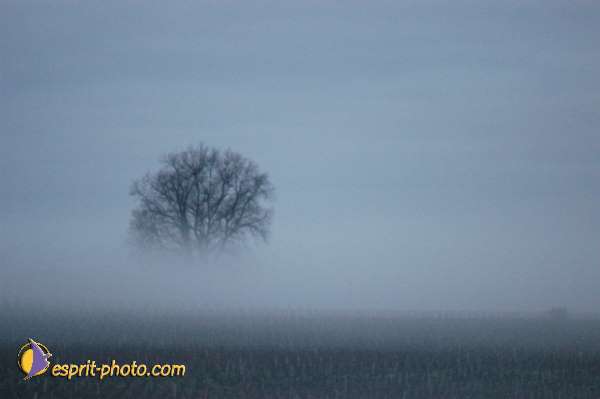 Nom de l'image : EG-300-1458-01 — Description :