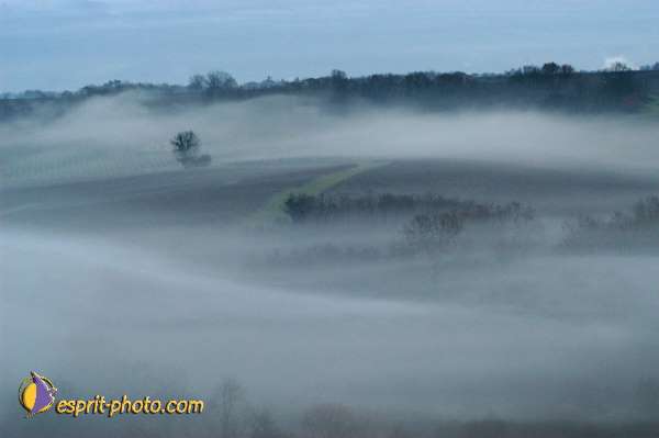 Nom de l'image : EG-300-1459-01 — Description :