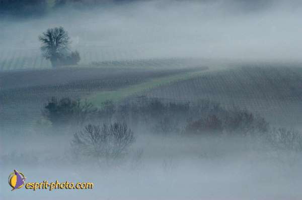 Nom de l'image : EG-300-1461-01 — Description :