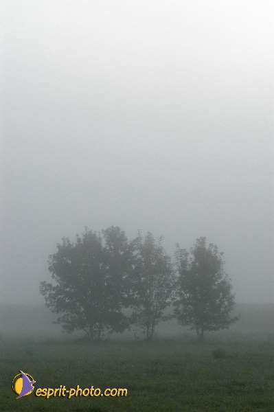 Nom de l'image : Nat-1065-01 — Description :