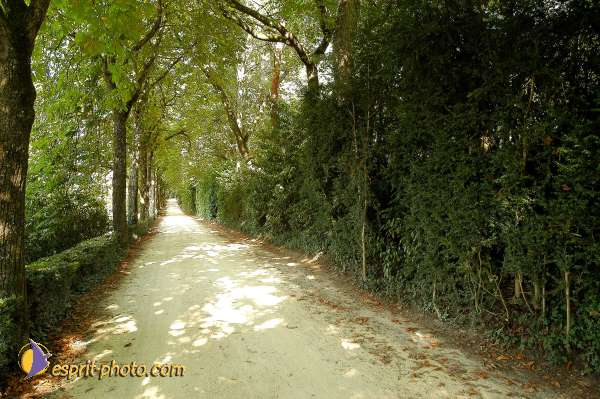 Nom de l'image : D1065508-01 — Description :  Festival Saint Jean (jeunes de 15-25ans)