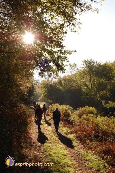 Nom de l'image : D1073278-01 — Description :