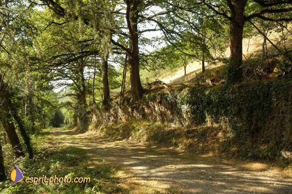 Nom de l'image : D1154366-01 — Description :