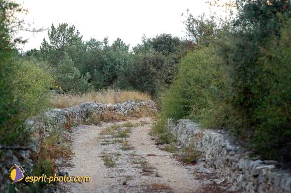 Nom de l'image : D1160770-01 — Description :  Fatima (Portugal)