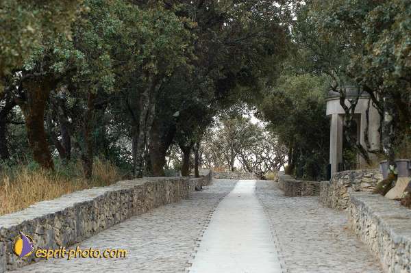 Nom de l'image : D1160791-01 — Description :  Fatima (Portugal)