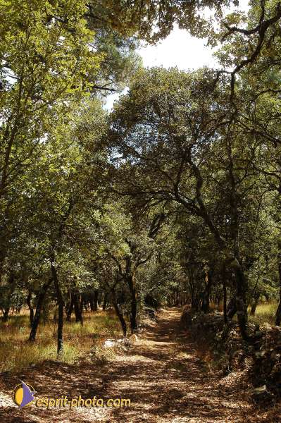 Nom de l'image : D1161585-01 — Description :  Fatima (Portugal)