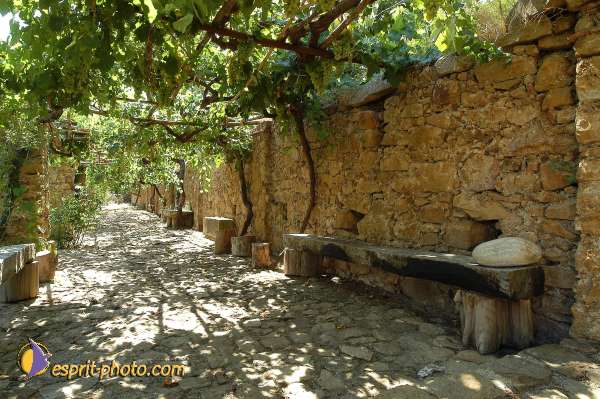Nom de l'image : D1174173-1 — Description :  Franciscaine Rinovati (Soeurs) à Tusa (Sicile)