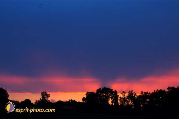 Nom de l'image : D1165845-01 — Description :  Genissac