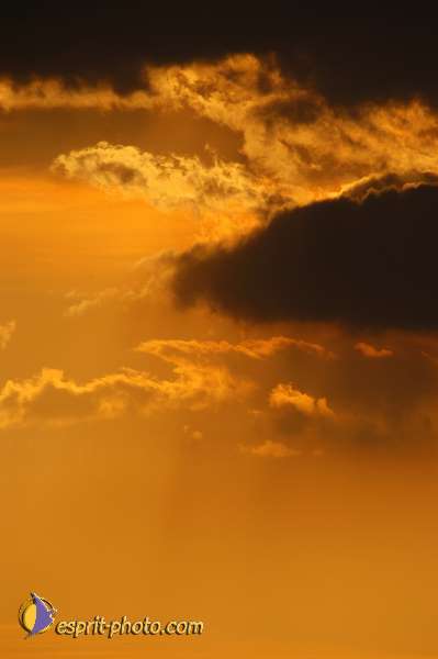 Nom de l'image : D1168502-1 — Description :  Abbaye de Montecassino (Latina-Italie)