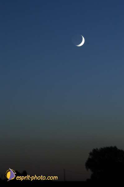 Nom de l'image : Nat-0987 — Description :