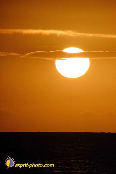 Nom de l'image : D1115103-nef-01 — Description :