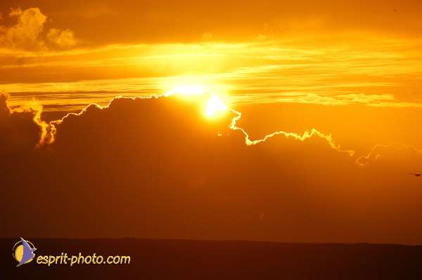 Nom de l'image : D1159083-01 — Description :  Vagues (Atlantique - Portugal - Dunes de la Costa do Prata)