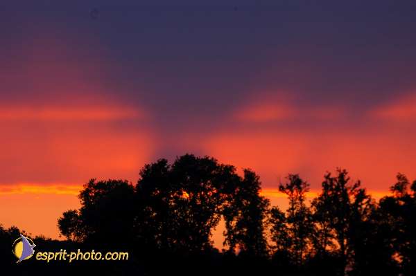 Nom de l'image : D1165840-01 — Description :  Genissac