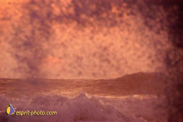 Nom de l'image : D1168024-1 — Description :  Vagues à Sabaudia (Latina-Italie)