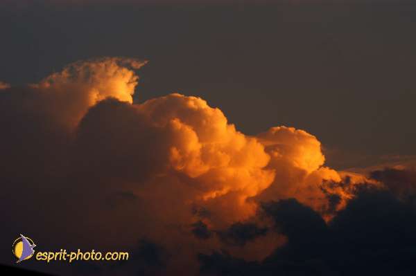 Nom de l'image : D1171711-1 — Description :  Voyage - Paysage (Campagna-Calabrie-Sicile / Italie)