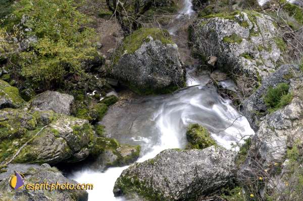 Nom de l'image : D1010332 — Description :