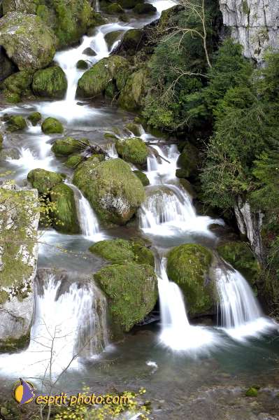 Nom de l'image : D1010368 — Description :