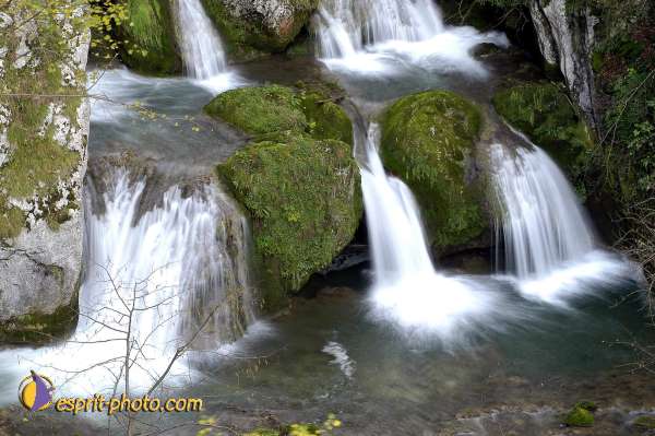 Nom de l'image : D1010369 — Description :