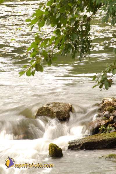 Nom de l'image : D1061108-nef-01 — Description :