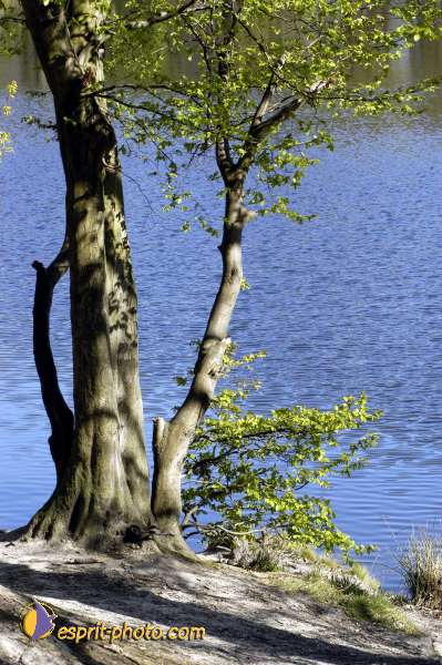 Nom de l'image : EG-Nat-169 — Description :