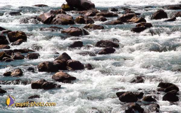 Nom de l'image : EG04001530-01 — Description :