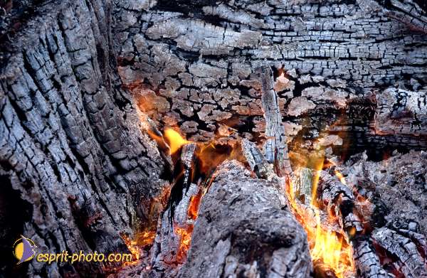 Nom de l'image : EG-Nat-728 — Description :