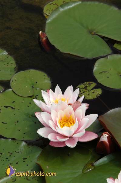 Nom de l'image : E00000329-01 — Description :