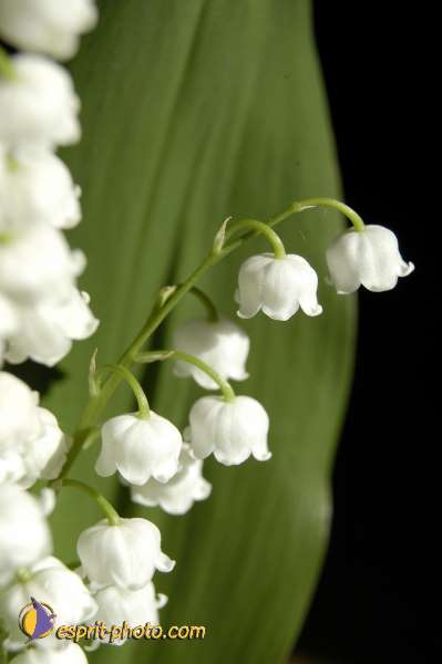 Nom de l'image : EG-Nat-391 — Description :