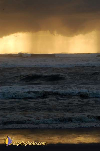 Nom de l'image : D1158793-01 — Description :  Vagues (Atlantique - Portugal - Dunes de la Costa do Prata)