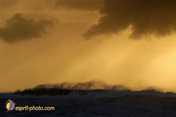 Nom de l'image : D1158809-01 — Description :  Vagues (Atlantique - Portugal - Dunes de la Costa do Prata)