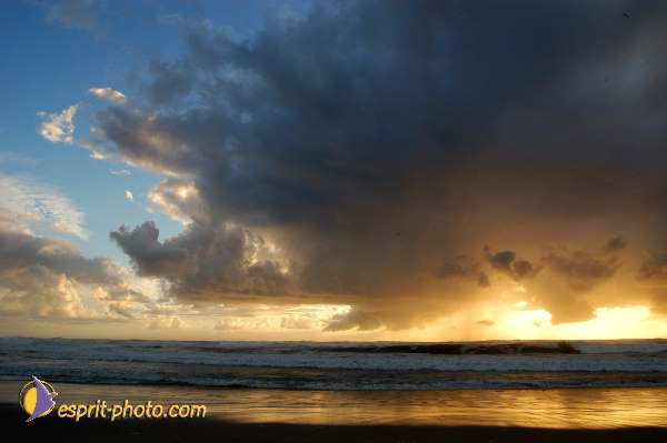 Nom de l'image : D1158910-01 — Description :  Vagues (Atlantique - Portugal - Dunes de la Costa do Prata)