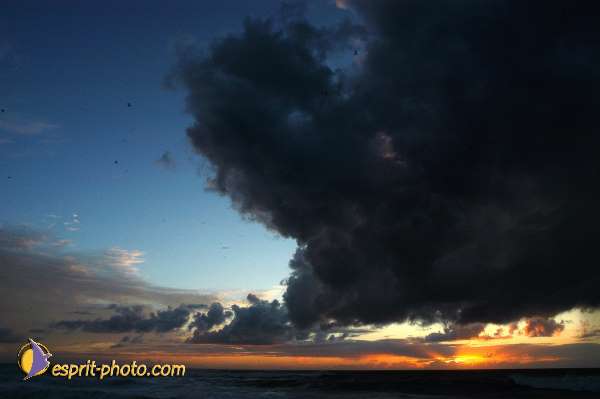 Nom de l'image : D1159106-01 — Description :  Vagues (Atlantique - Portugal - Dunes de la Costa do Prata)