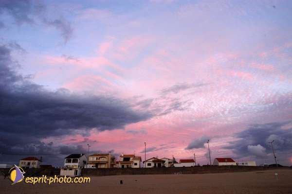 Nom de l'image : D1159205-01 — Description :  Vagues (Atlantique - Portugal - Dunes de la Costa do Prata)