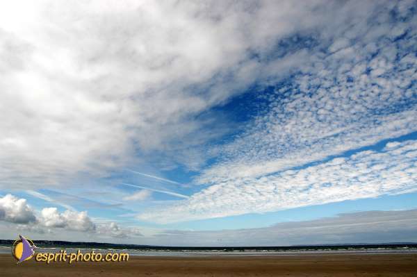 Nom de l'image : E00009228-01 — Description :