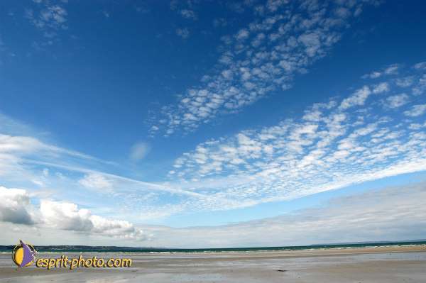 Nom de l'image : E00009261-01 — Description :