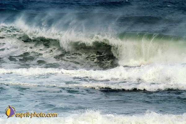 Nom de l'image : D1159263-01 — Description :  Vagues (Atlantique - Portugal - Dunes de la Costa do Prata)