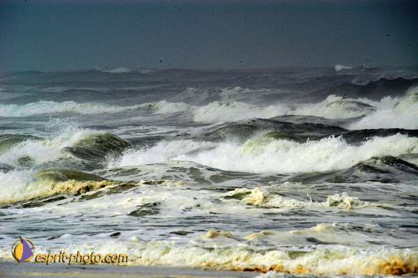 Nom de l'image : D1159318-01 — Description :  Vagues (Atlantique - Portugal - Dunes de la Costa do Prata)