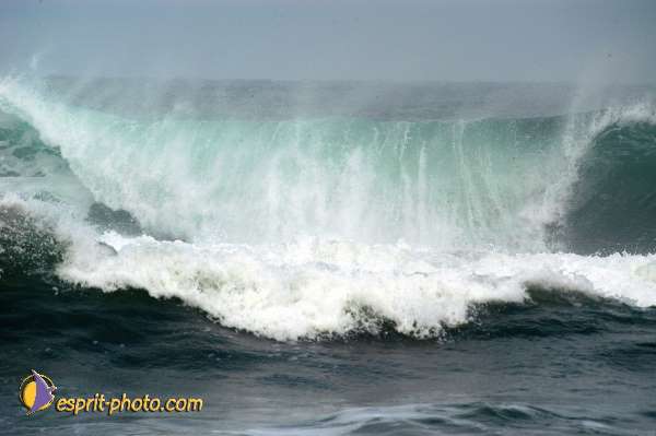 Nom de l'image : D1159342-01 — Description :  Vagues (Atlantique - Portugal - Dunes de la Costa do Prata)