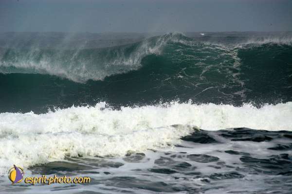 Nom de l'image : D1159346-01 — Description :  Vagues (Atlantique - Portugal - Dunes de la Costa do Prata)