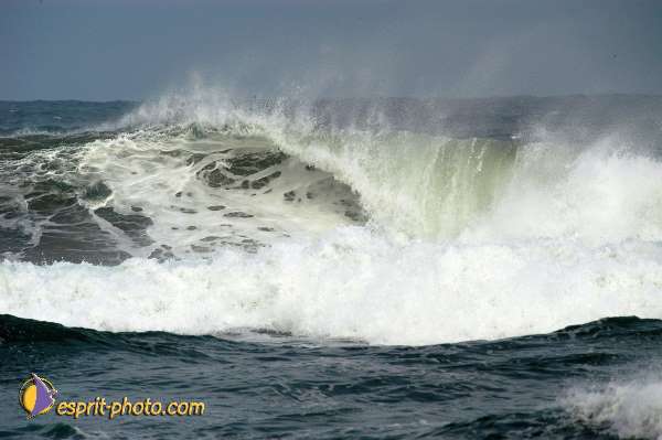 Nom de l'image : D1159358-01 — Description :  Vagues (Atlantique - Portugal - Dunes de la Costa do Prata)