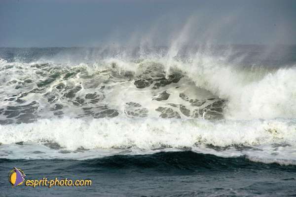 Nom de l'image : D1159360-01 — Description :  Vagues (Atlantique - Portugal - Dunes de la Costa do Prata)