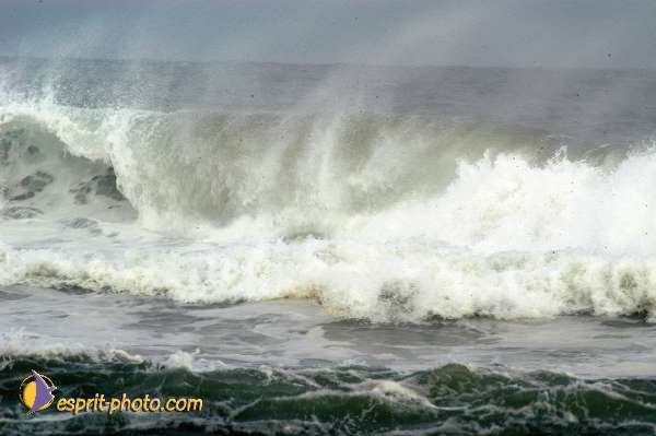 Nom de l'image : D1159445-01 — Description :  Vagues (Atlantique - Portugal - Dunes de la Costa do Prata)