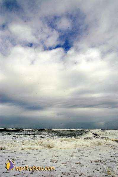 Nom de l'image : D1159574-01 — Description :  Vagues (Atlantique - Portugal - Dunes de la Costa do Prata)