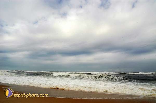 Nom de l'image : D1159578-01 — Description :  Vagues (Atlantique - Portugal - Dunes de la Costa do Prata)