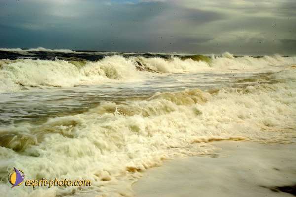Nom de l'image : D1159632-01 — Description :  Vagues (Atlantique - Portugal - Dunes de la Costa do Prata)