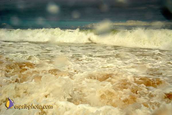 Nom de l'image : D1159773-01 — Description :  Vagues (Atlantique - Portugal - Costa do Prata)