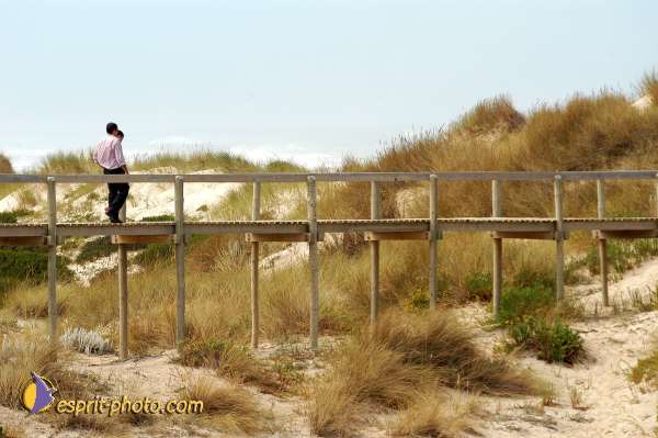Nom de l'image : D1159789-01 — Description :  Vagues (Atlantique - Portugal - Costa do Prata)