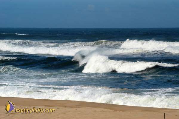 Nom de l'image : D1159801-01 — Description :  Vagues (Atlantique - Portugal - Costa do Prata)